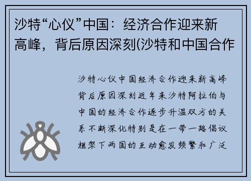 沙特“心仪”中国：经济合作迎来新高峰，背后原因深刻(沙特和中国合作)